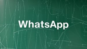 logicalshout update whatsapp